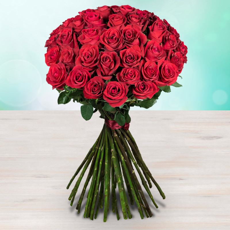 Bouquet 6 red meter-long rose